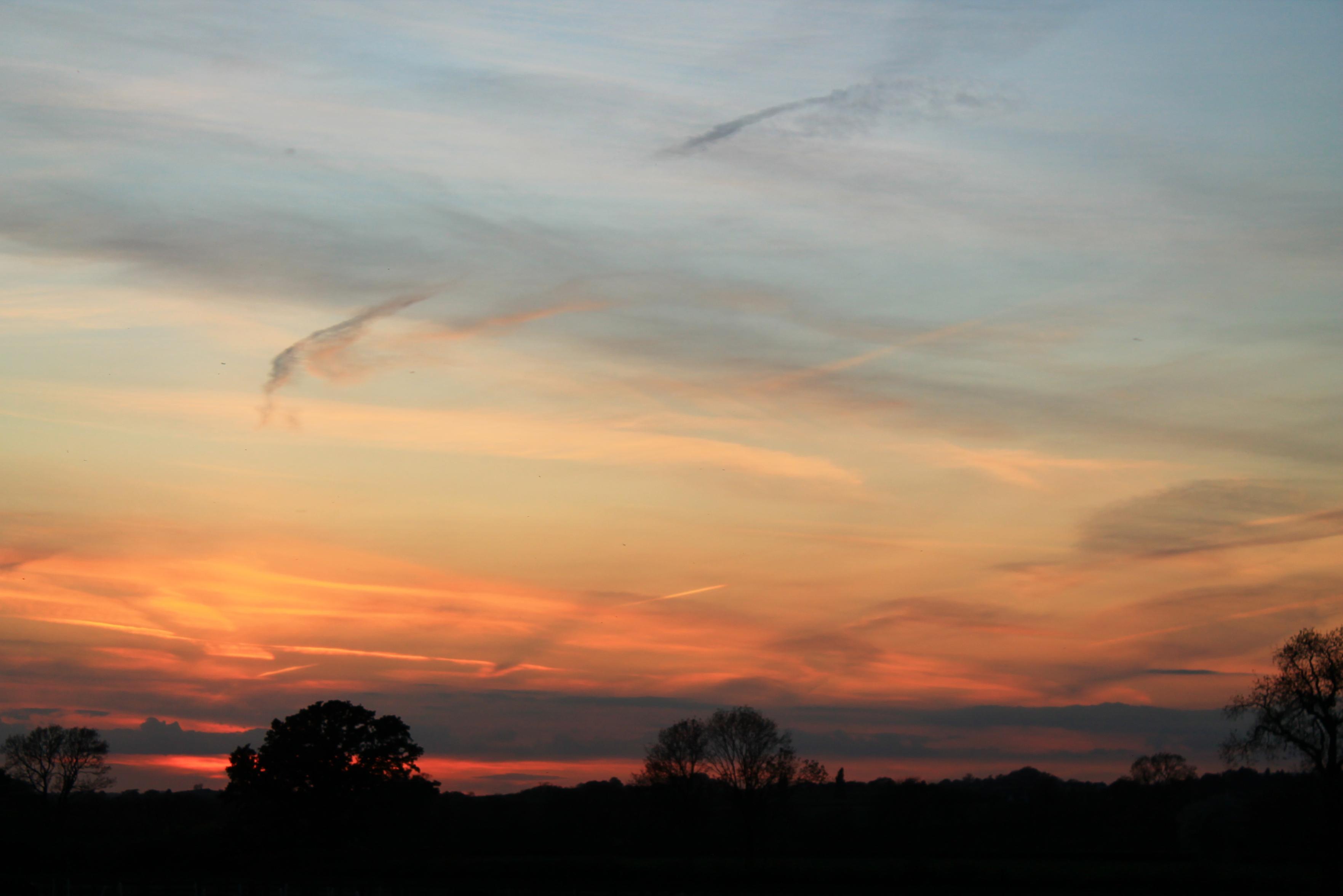 Slideshow image 30